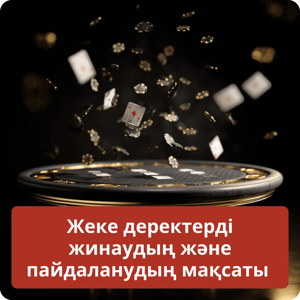 Жеке деректерді жинаудың және пайдаланудың мақсаты